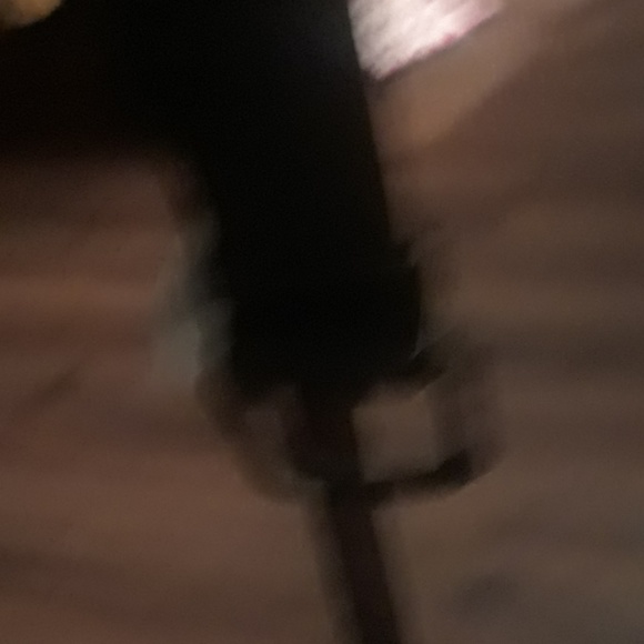 Belt - Picture 3 of 3